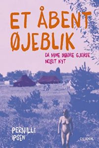 Ipsen book cover-An Open Moment